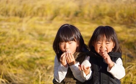 【花の米】越後かに米こしひかり 白米5kg