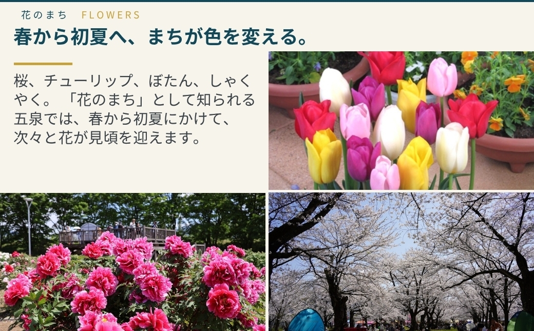 安心とおいしさにこだわった渡辺農園のお米です！