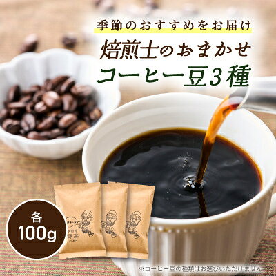 【ふるさと納税】自家焙煎!季節のおすすめコーヒー豆(100g×3パック)【1571145】