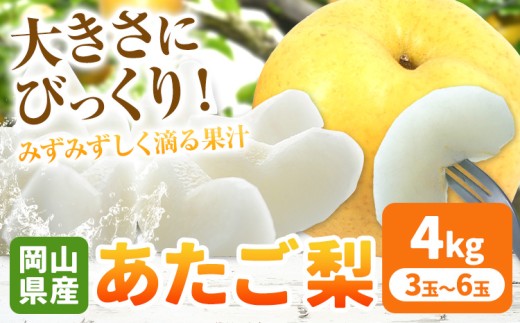 岡山県産 あたご梨 約4kg（3-6玉） 有限会社ホーティカルチャー神島《11月中旬-12月中旬頃出荷》岡山県 浅口市 なし 梨 果物 【配送不可地域あり】
