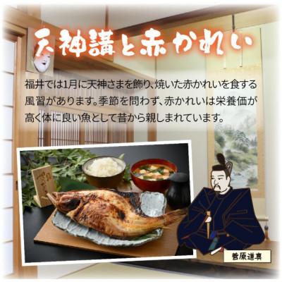 ふるさと納税 福井市 福井名物 串焼き鯖と串焼き赤かれいセット 合計2本 |  | 02