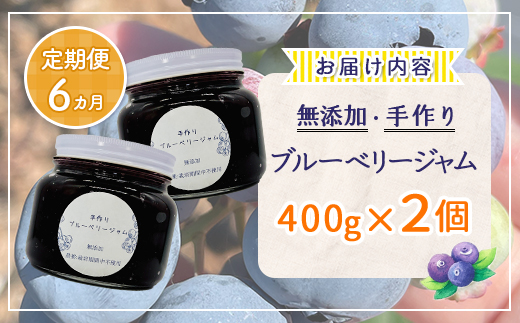 【定期便6カ月】北海道 豊浦町産 無添加手作り ブルーベリージャム400g×2個 TYUS012 | ジャム ブルーベリー ジャム ブルーベリー ジャム ブルーベリー ジャム ブルーベリー ジャム ブ