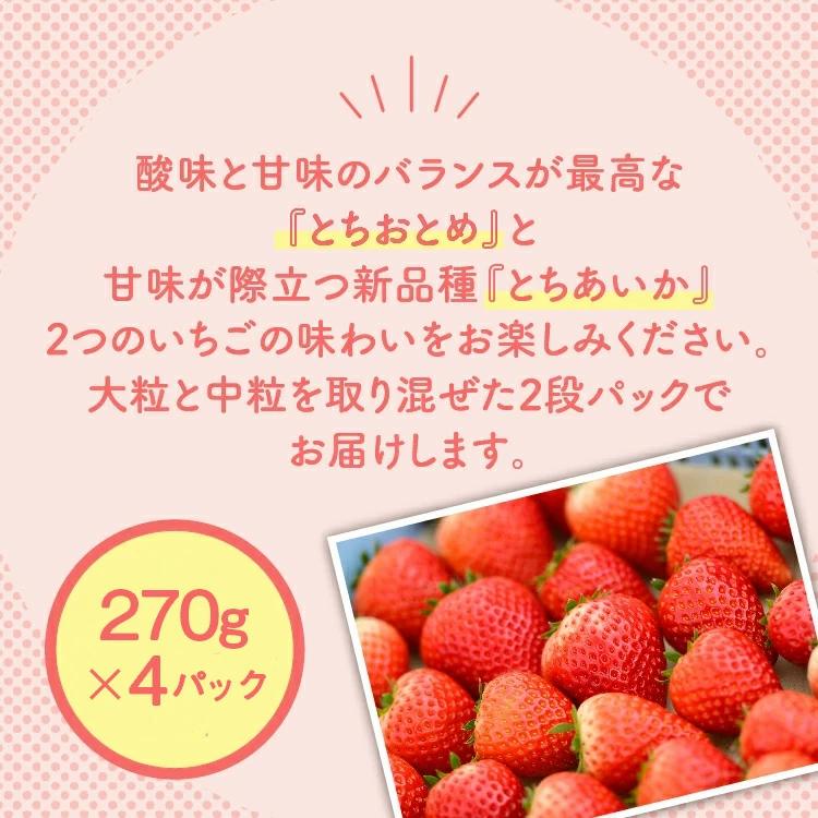 新旧2種食べ比べセット（とちおとめ、とちあいか）270g×4パック 1.08kg以上｜先行予約 数量限定 いちご ※2027年1月～発送_イメージ4