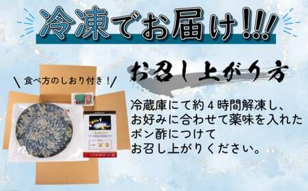 とらふぐ 刺身 4-5人前 130g 冷凍 皮なし 菊盛り ふぐ BV