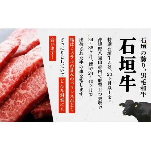 切り落とし焼き肉用とスライスの大満足食べ比べ 合計1.2kg &石垣牛 MARU秘伝の焼肉タレ100ml×1本　 IM-33