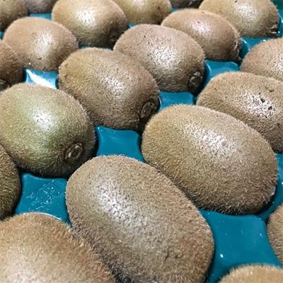 ふるさと納税 海南市 【大人気】厳選!濃厚キウイフルーツ(秀品)約3.6kg |  | 01