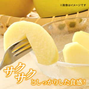 【先行予約】令和8年度産 シナノゴールド 秀品 約5kg 16～20玉入 長野県産 果物類 林檎 りんご リンゴ フルーツ 小諸市