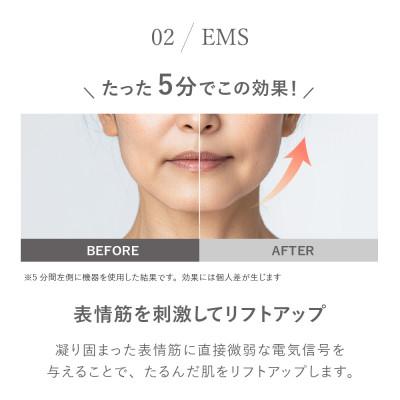 ふるさと納税 犬山市 【LOABI/ロアビ公式】1台13役 美顔器 NITENA ニテナ |  | 02