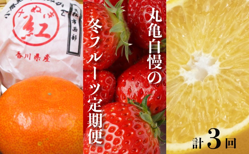 
                  【冬の定期便3回】 丸亀自慢のフルーツ 全3回 定期便 フルーツ 果物 越冬さぬき紅みかん さぬきひめ はっさく いちご 小原紅早生みかん 冷蔵 常温 香川県 丸亀市【離島エリア配送不可】
                