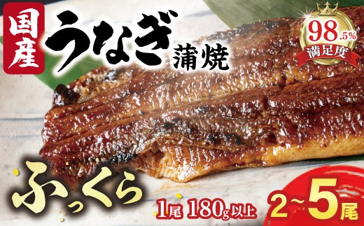 
                   国産 うなぎ 備長炭 地焼き 蒲焼き 180g 以上 2尾 / 3尾 / 5尾 タレ付き 【FUSKU1】 うなぎ ウナギ 鰻 蒲焼き かば焼き たれ 人気 美味しい ふるさと 冷凍 うな重 ひつまぶし 国産うなぎ うざく うまき 国産 限定 大人気
                