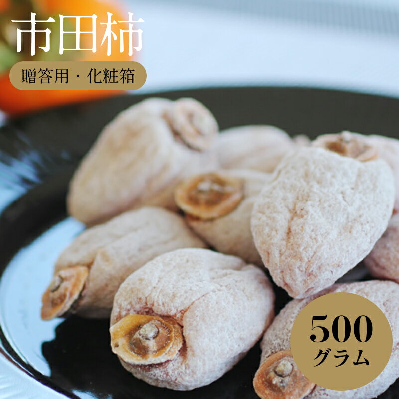 【ふるさと納税】 信州 の 特産品 市田柿 贈答用 化粧箱 500g 〈2026年1月上旬〜1月末発送〉| 果物 くだもの フルーツ 柿 市田柿 干し柿 贈答用 長野県 信州 南信州 飯田市 B12