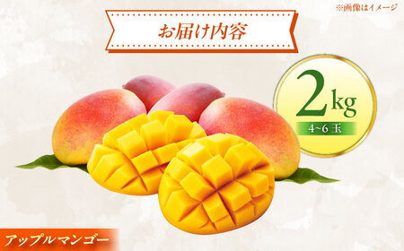  【贈答用】最優秀賞受賞！完熟アップルマンゴー2kg マンゴー 沖縄市 / 仲村農園 マンゴー マンゴー マンゴー マンゴー マンゴー[BCCU001]