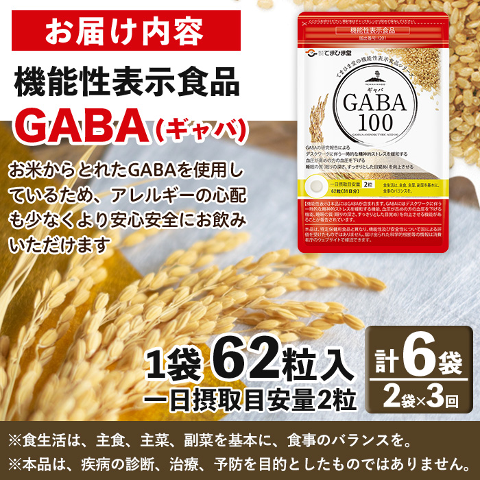 No.1286-A ＜定期便・全3回(隔月)＞GABA100(1袋 62粒入・2袋×3回 計6袋) 鹿児島 日置市 健康食品 機能性表示食品 サプリ 栄養バランス 高血圧 定期便 頒布会【てまひま堂】