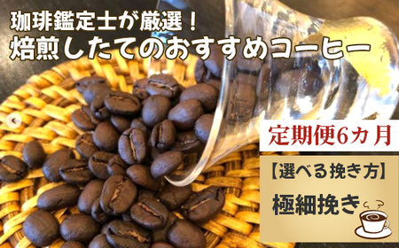 No.178-05 【毎月定期便6回】珈琲鑑定士が厳選！焙煎したてのおすすめコーヒー（極細挽き）