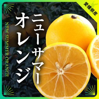 ふるさと納税 八幡浜市 【発送月固定定期便】美味しい柑橘【まどんな・せとか・ニューサマーオレンジ】【G31-45】全3回 |  | 03