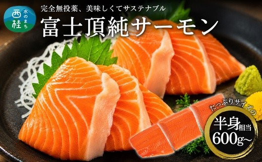 富士頂純サーモン 刺し身セット 半身分3分割 600g以上 富士山麓のきれいな天然水で養殖された安心安全な国産サーモン 刺身 小分け 生食サーモン 国産 海鮮丼 カルパッチョ 生食 海鮮 冷凍 人気 フィレ 切り身 皮なし 骨なし 骨取り ムニエル 刺身 [注目]【n0556_nes_A】