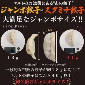 【定期便/計3回】マルトオリジナル 冷凍ジャンボぎょうざ&冷凍スタミナぎょうざ 15個入×各種1袋（30個）計90個 | 福島 いわき マルトオリジナル ジャンボぎょうざ 冷凍餃子 パンチ系餃子 食べ