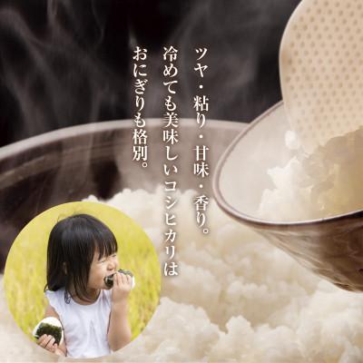 ふるさと納税 南魚沼市 令和7年産 新潟県 南魚沼産 コシヒカリ 5kg (美味しいお米の炊き方ガイド付き) |  | 03