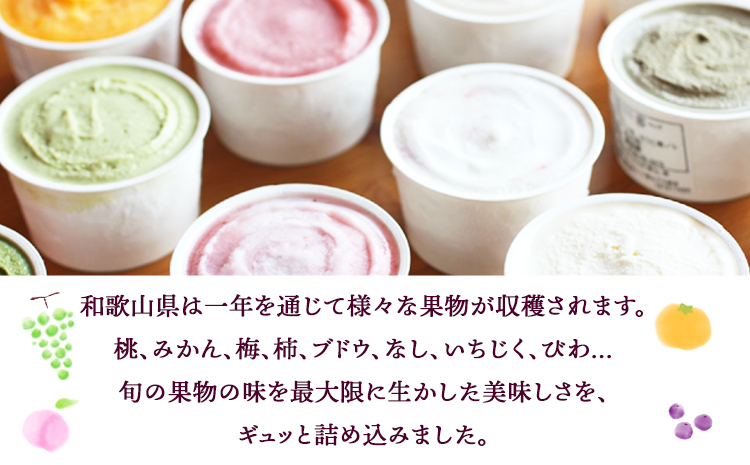 藤桃庵ジェラート 12個入 藤桃庵 《90日以内に出荷予定(土日祝除く)》 和歌山県 紀の川市 ジェラート アイス(F-1)
