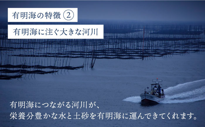 ＜味付けのり＞佐賀海苔 吉野ヶ里40束（10切5枚40袋） 株式会社サン海苔/吉野ヶ里町 [FBC045]