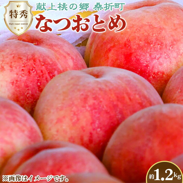 【ふるさと納税】No.226 もも（なつおとめ）特秀　1.2kg　桑折町産　JAふくしま未来　桃 ／ モモ 果物 フルーツ 送料無料 福島県 特産品