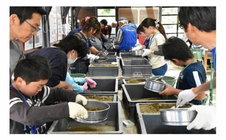 東松山市化石と自然の体験館優待券【3名分】 【 化石 発掘 体験 チケット 化石と自然の体験館 】