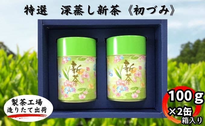 特選　深蒸し新茶《初づみ》箱入（100ｇ×2缶）