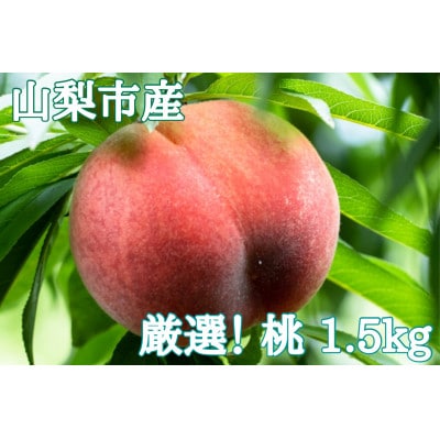 【2026年先行受付】厳選!山梨市産 桃 約1.5kg(4～7玉)【配送不可地域：離島】
