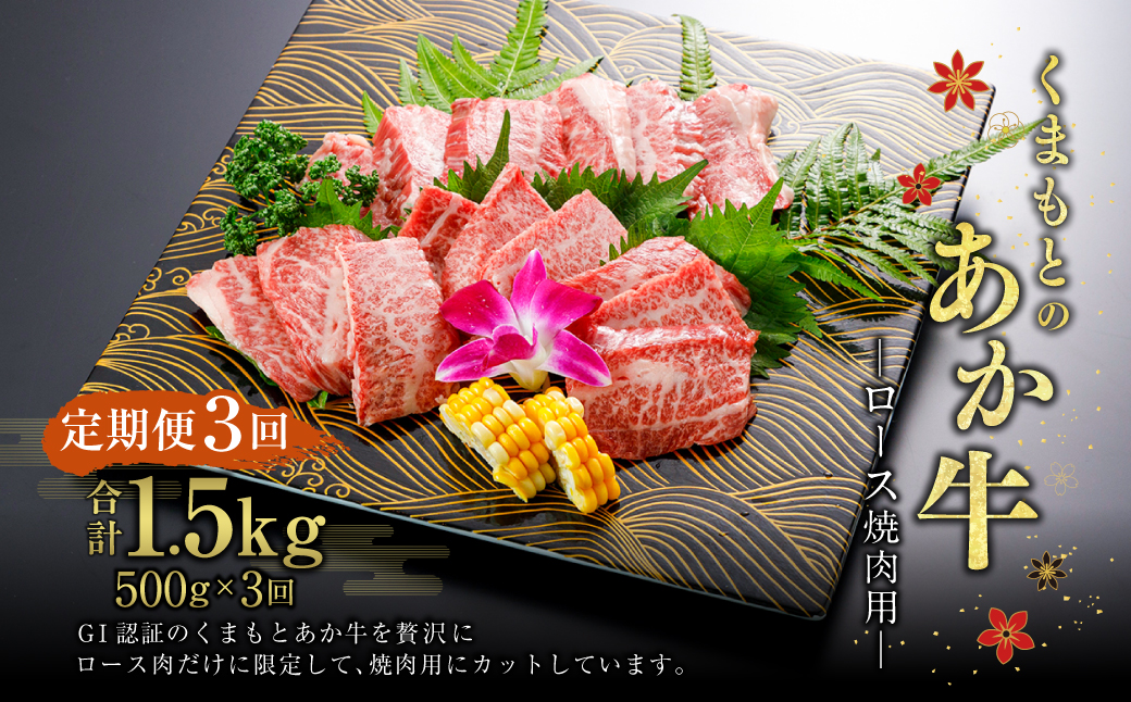 G59Q3 定期便3回【GI認証】くまもとの あか牛 ロース 焼肉用 500g 計1.5kg