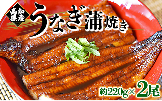 
            うなぎ蒲焼き 国産 2尾✕約220g 鰻 フジ物産 国産 養殖 かばやき 高知県産鰻 fb-0140
          