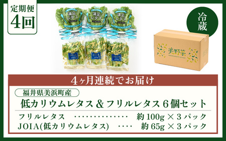 定期便 ≪4ヶ月連続お届け≫ 低カリウムレタス&フリルレタス　計6個セット 全4回 【福井県美浜町産】【野菜 生野菜 レタス サラダ サンドイッチ お弁当 水耕栽培 洗わず食べられる 時短 付け合わせ