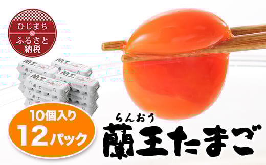 蘭王10個入り12パックセット_ 120個 卵 たまご 玉子 タマゴ 鶏卵 まとめ買い オムレツ 卵かけご飯 朝食 料理 人気 美味しい 【1332613】