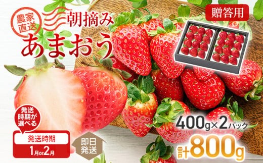 
                  【先行予約】朝摘みあまおう 800g ※2027年1月or2月中順次出荷予定 BD01
                