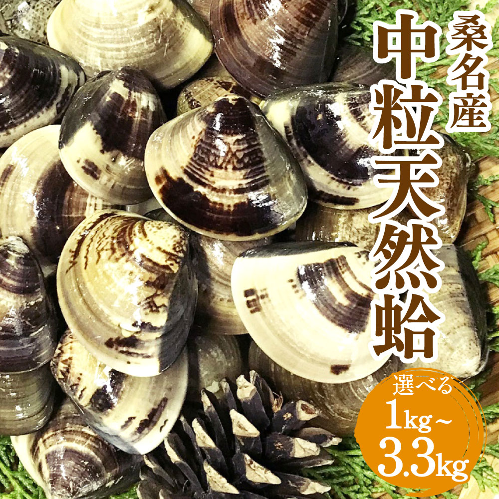 マルヨシ水産　桑名産中粒天然蛤　1kg