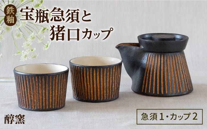 
                  鉄釉 宝瓶急須と猪口カップ 2個セット 糸島市 / 醇窯 セット カップ [AOE010]
                