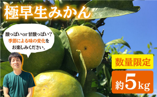 みかん【10月中旬より発送】  極早生みかん【（岩崎・上野）約5kg  ＜Da・IWASAKI FARM＞ [CCZ002] みかん ミカン 柑橘 西海みかん 早生みかん 贈答 ギフト みかん