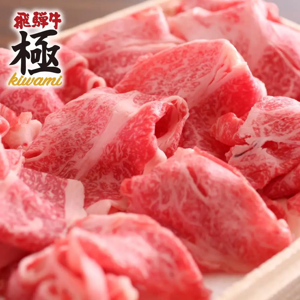 【ふるなび限定】牛肉 飛騨牛 切り落とし 500g 牛肉 FN-Limited-SP