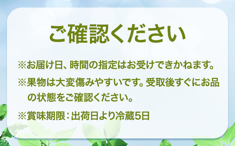 【先行予約】シャインマスカット ＆ クイーンニーナ 各１房 計約1.2kg《9月中旬-10月中旬頃出荷》テレビせとうち株式会社 冷蔵 果物 ブドウ 送料無料 岡山県 浅口市 シャインマスカット【配送不