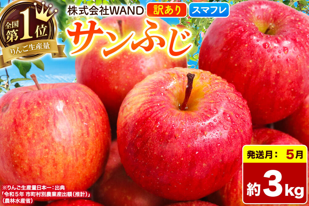 【26年5月クール便発送】 りんご サンふじ 3kg 箱 家庭用 訳あり 【スマートフレッシュ】 青森県産 [りんご サンふじ 家庭用 林檎 アップル 赤 果実 果物 フルーツ 美味 おいしい 青森県 弘前市 WAND]