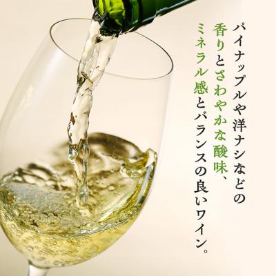 ふるさと納税 上田市 椀子シャルドネ アンウッデッド 750ml シャトー・メルシャン シャルドネ 白[54040408] |  | 01