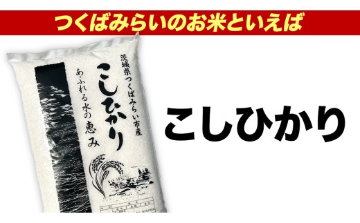 ＼ 令和8年産 新米 先行予約 ／【 3回 定期便（12～2月出荷）】 コシヒカリ 15kg （精米） 茨城県つくばみらい市産 こしひかり コシヒカリ 米 コメ こめ 単一米 限定 茨城県産 国産 美