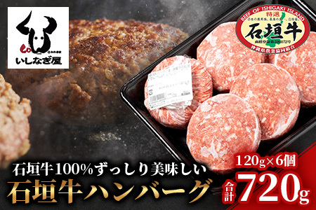 石垣牛ハンバーグ 120g×6個 AB-16-1