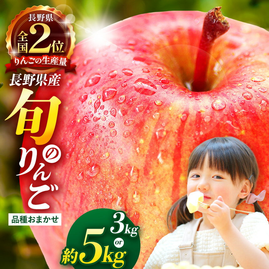 【ふるさと納税】【先行受付：2026年発送】【選べる】信州産りんご【品種おまかせ】約3kg or 約5kg【秋映・シナノスイート・シナノゴールド・名月・サンふじ・グラニースミス】 | ふるさと納税 リンゴ りんご 林檎 新鮮 信州産 長野県 松本市