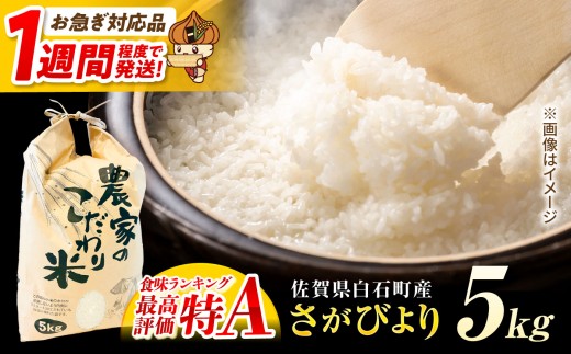 【スピード発送】令和7年産 さがびより（白米） 5kg【かわさきいちご】 佐賀県 白石  令和8年発送 [IBG018]