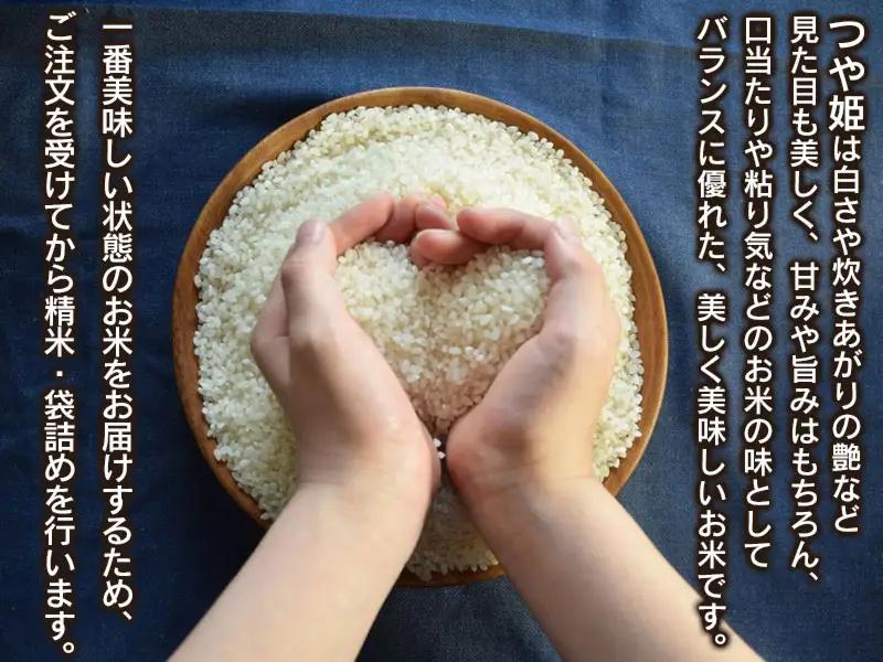 数量限定 【令和7年産】 山形県庄内産 小池半左衛門のお米 特別栽培米 つや姫 精米 10kg (5kg×2袋)