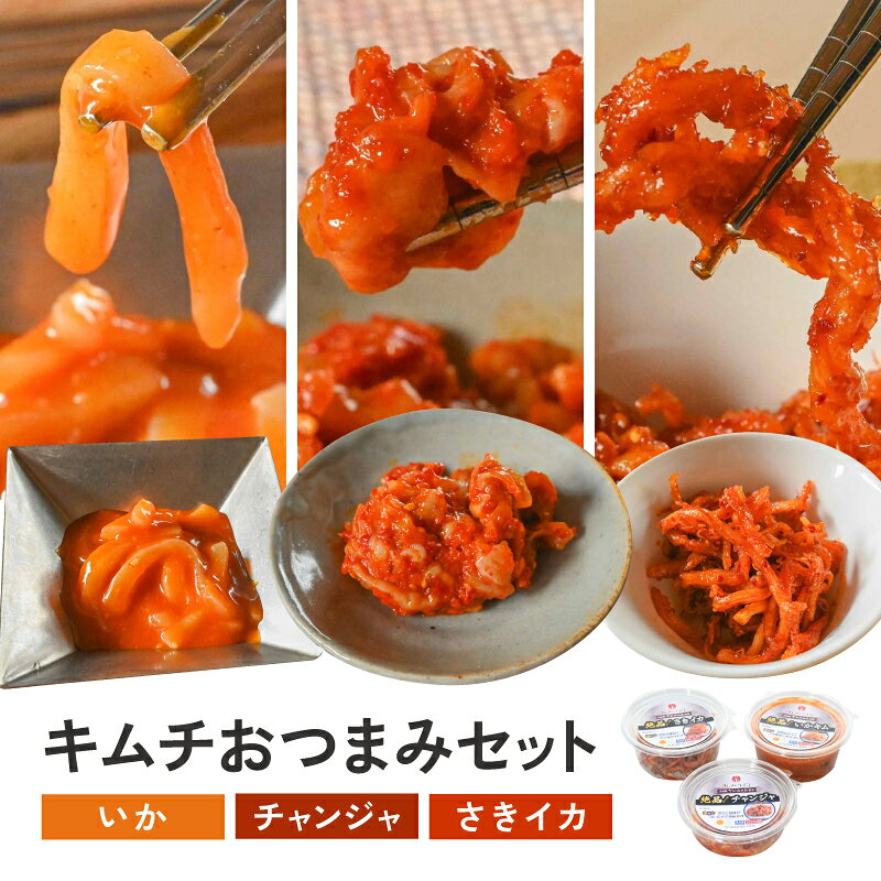 【ふるさと納税】【キムチのシオン】絶品！ キムチ おつまみ セット いかキム さきイカ チャンジャ 本格キムチ 食べ比べ 詰め合わせ 韓国料理 おつまみ ご飯のお供 発酵食品 冷蔵 国産 惣菜 おかず人気 おすすめ おすそ分け お取り寄せ 宮崎県 綾町 送料無料