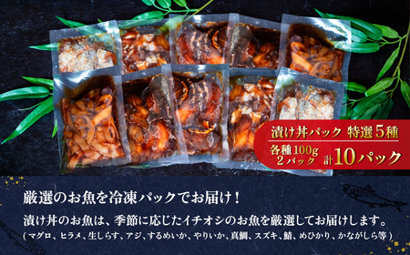 海鮮丼 海鮮漬け丼 5種セット 10パック マグロ 海鮮丼