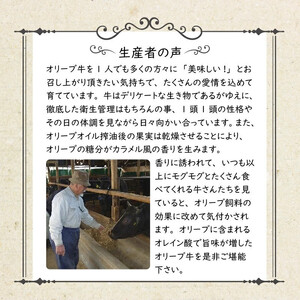オリーブ牛 和牛 牛肉 赤身 カットステーキ モモ肉 ギフト オリーブ牛　赤身カットステーキ　1000g_M04-0156