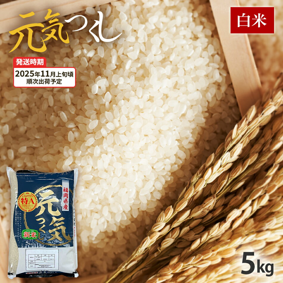【ふるさと納税】元気つくし 令和7年産　【11月上旬頃より順次出荷予定】福岡県産ブランド米「元気つくし」白米5kg お取り寄せグルメ お取り寄せ 福岡 お土産 九州 福岡土産 取り寄せ グルメ 福岡県
