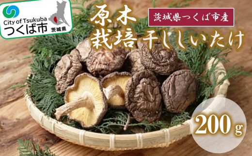干ししいたけ ( 原木栽培 )【 シイタケ 椎茸 きのこ キノコ 茸 茨城県 つくば市 】＜離島・沖縄配送不可＞